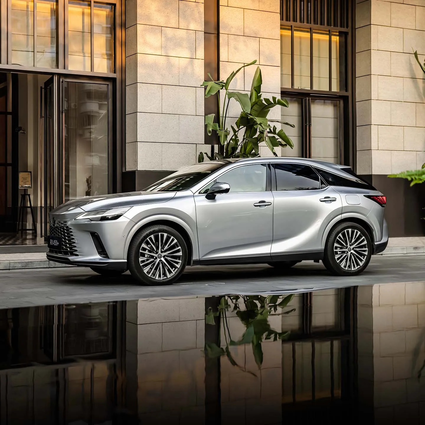 Lexus RX Buying Guide