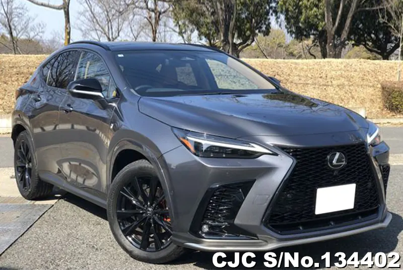 Lexus / NX 350H 2025